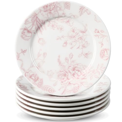 Ceramic Floral Plates Set of 6 6 Inch Pink and White Salad Dessert Plates
